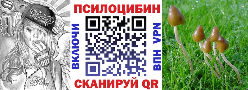 Галлюциногенные грибы мухоморы  мега ТОР  Керчь 