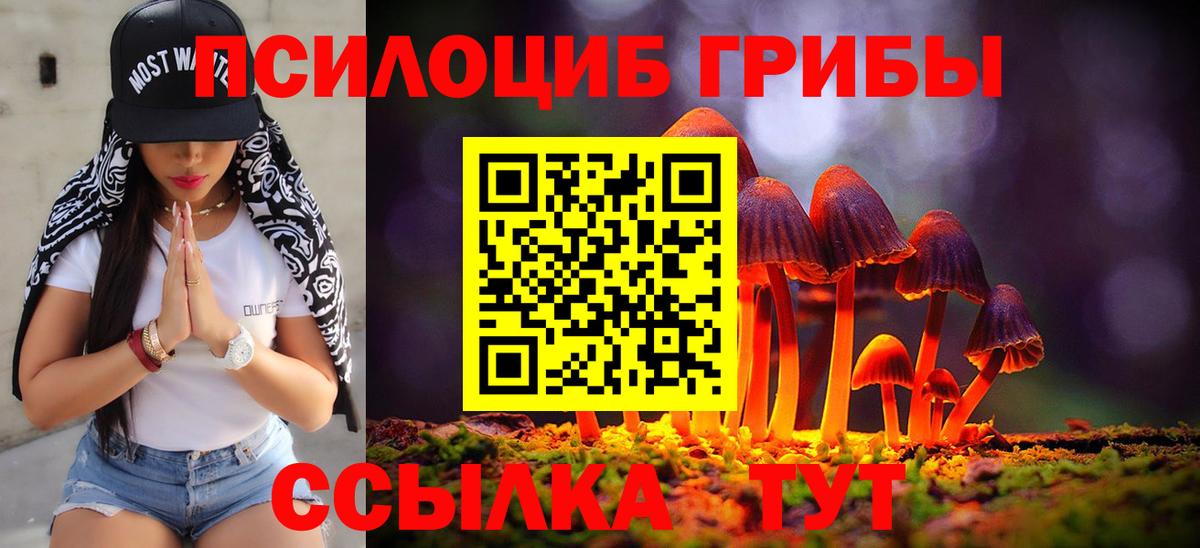 Галлюциногенные грибы прущие грибы  Вход с VPN  Галлюциногенные грибы мицелий  Керчь 